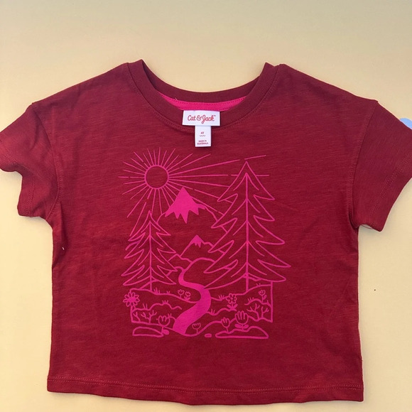 CAT & JACK 2 Short Sleeves Size 4 Girls Red & Lilac  T Shirt BNWT - Picture 4 of 4